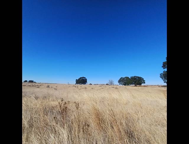 8.50HA VACANT LAND FOR SALE IN WITKOP